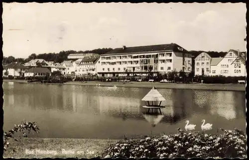 Ansichtskarte Horn-Bad Meinberg Partie am See 1958