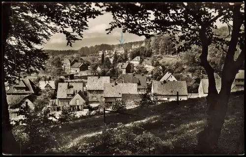 Ansichtskarte Steinbergen-Rinteln Partie am Hang 1958