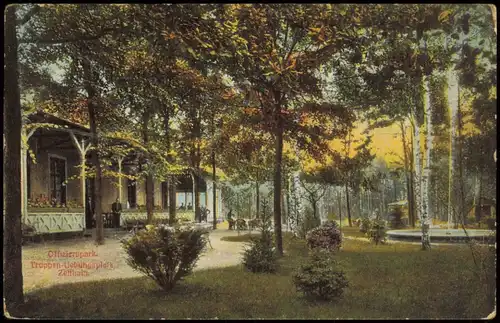 Ansichtskarte Zeithain Offizierspark Truppen-Uebungsplatz 1913