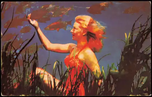 Silver Springs (Florida) Florida's Silver Springs Lovely model 1950