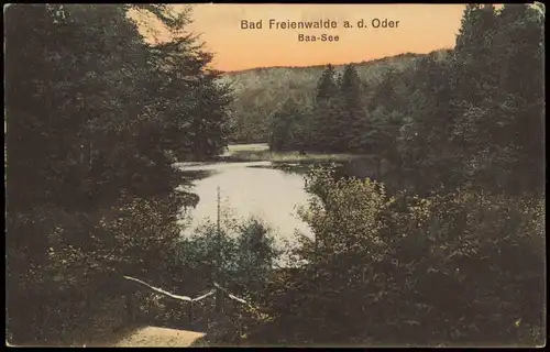 Ansichtskarte Bad Freienwalde Umland-Ansicht Baa-See 1910