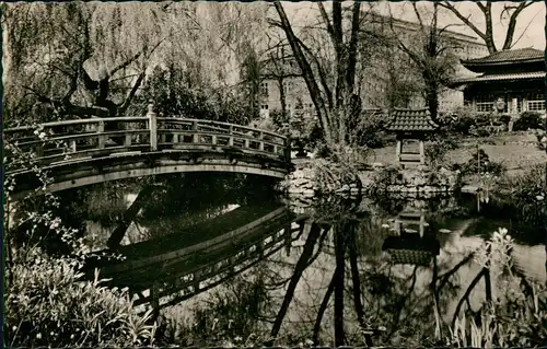 Ansichtskarte Wiesdorf-Leverkusen Wiesdorf. Japanischer Garten 1958