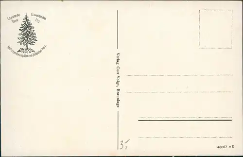 Ansichtskarte Braunlage Panorama-Ansicht Oberharz Blick Wurmbergklippe 1920