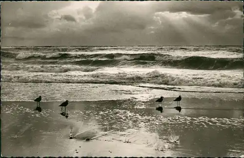 Ansichtskarte Sylt Insel Sylt Abend am Strand (Stimmungsbild) 1965