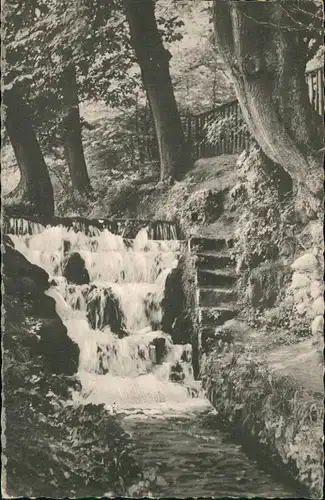 Ansichtskarte Königslutter am Elm Wasserfall (Waterfall) 1961