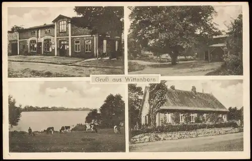 Ansichtskarte Wittenborn 4 Bild: Geschäft, Stradtpartien 1934