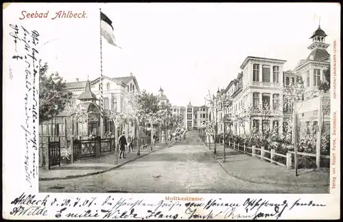 Ansichtskarte Ahlbeck (Usedom) Moltkestrasse, Villen 1902