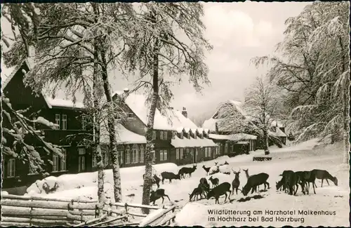 Ansichtskarte Bad Harzburg Molkenhaus im Winter 1963