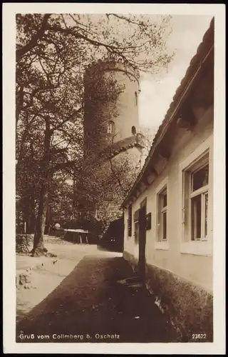 Ansichtskarte Collm-Wermsdorf Collmberg, Turm, Restaurant 1930