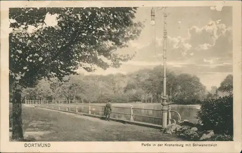 Ansichtskarte Dortmund Partie in der Kronenburg mit Schwanenteich 1915