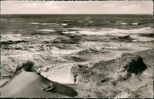 Ansichtskarte Sylt Insel Sylt Rotes Kliff 1964