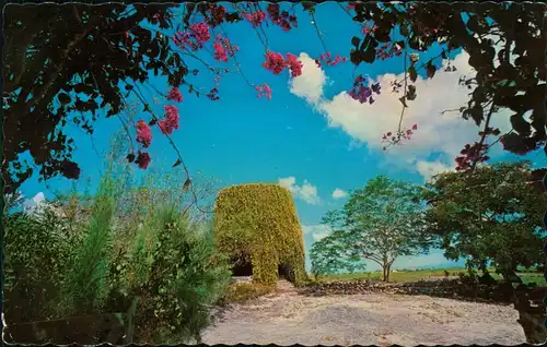 Barbados allgemein HUSBAND'S PLANTATIONS Barbados, West Indies 1968