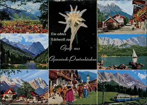 Garmisch-Partenkirchen Mehrbildkarte "Echter Edelweiß-Gruss" 1966