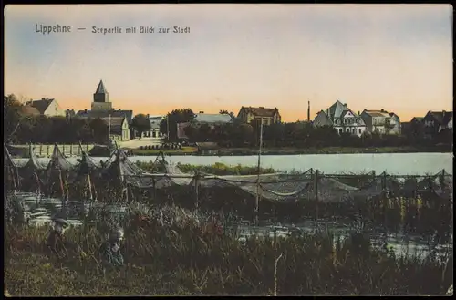Lippehne (Neumark) Lipiany Seepartie mit Blick zur Stadt, Grenzmark 1912