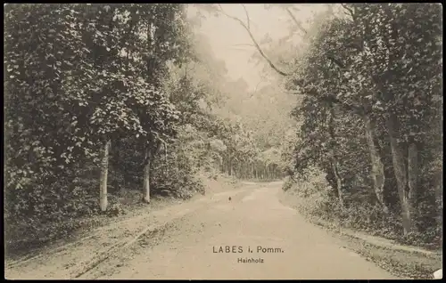 Postcard Labes Łobez Hainholz - Pommern 1914