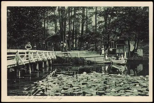 Postcard Misdroy Międzyzdroje Jordansee, Kiosk, Seerosen 1928