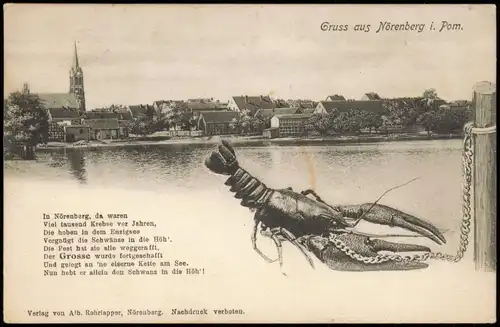 Postcard Nörenberg (Pommern) Ińsko Enzing-See, Krebs Pommern 1913