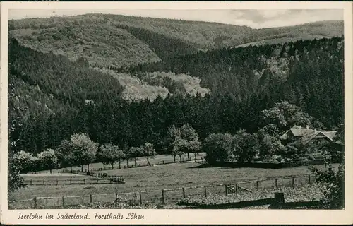 Ansichtskarte Iserlohn Umland-Ansicht Sauerland Forsthaus Löhen 1955