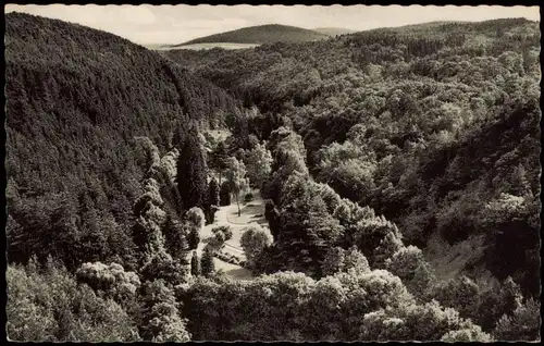 Ansichtskarte Bad Wildungen Panorama-Ansicht WELTBAD Helenental 1950