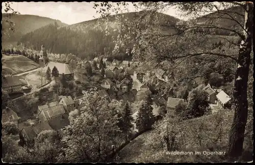 Wildemann (Innerstetal) Panorama-Ansicht Wildemann im Oberharz 1957