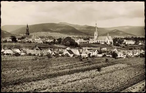 Ansichtskarte Edenkoben Panorama-Ansicht 1960