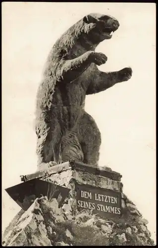 Ansichtskarte Rübeland Bärendenkmal (Rübeland) Höhlenbär Bär 1962