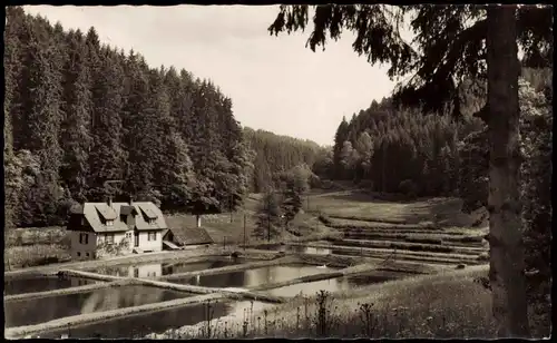 Altensteig Umland-Ansicht Gasthof Pension Zum Anker Wörnersberg 1960