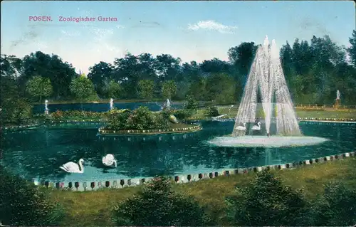 Postcard Posen Poznań Zoologischer Garten 1916