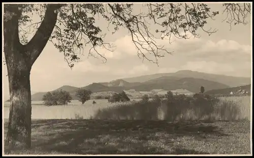 Blick von der Rheinebene auf den Schwarzwald 1936 Privatfoto Foto