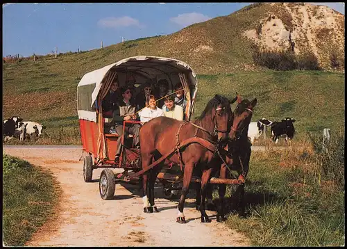 Volkmarsen Hochzeits- & Kutsch- sowie Planwagenfahrten HUGO RAUCH 1980