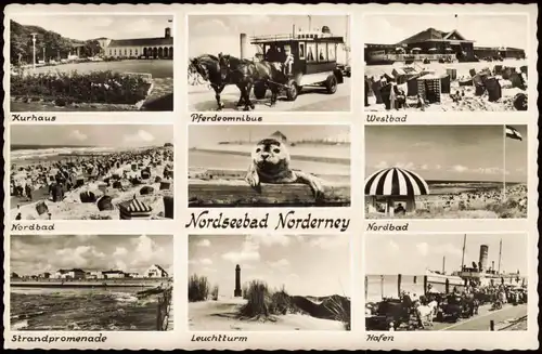 Ansichtskarte Norderney Pferdeomnibus, Robbe, Nordbad Kiosk MB 1959