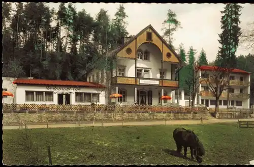 Marktschorgast Pension Gasthof - Café GRUNDMÜHLE Colorfoto AK 1967