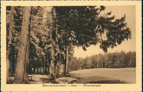 Ansichtskarte Benneckenstein Rhumwiese 1922