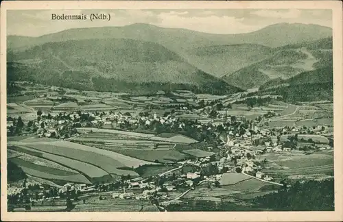 Ansichtskarte Bodenmais Stadtblick 1923