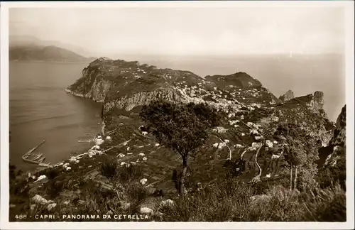 Cartoline Capri PANORAMA DA CETRELLA 1934