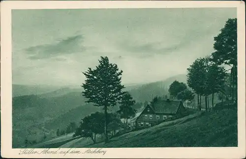 Ansichtskarte Klingenthal Stiller Abend auf dem Aschberg 1922