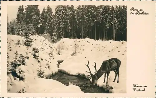Ansichtskarte Grünbach (Vogtland) Hirsch am Bach, Winter im Vogtland 1937