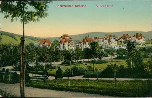 Postcard Bad Altheide Polanica-Zdrój Villenpartie 1911