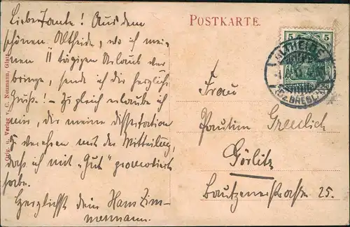 Postcard Bad Altheide Polanica-Zdrój Villenpartie 1911