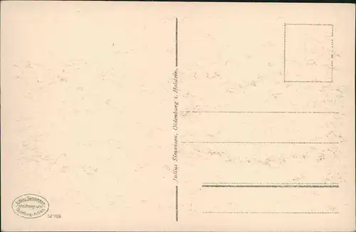 Ansichtskarte Benneckenstein Stadtpartie - Fachwerkäuser 1930