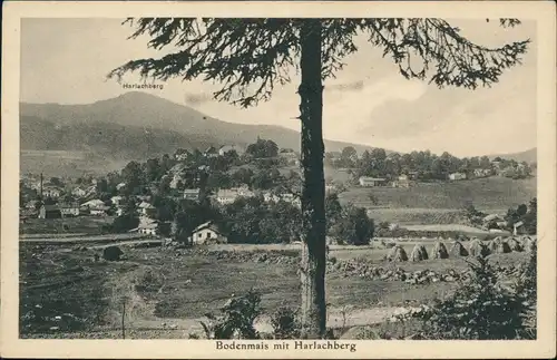 Ansichtskarte Bodenmais Stadt mit Harlachberg 1923