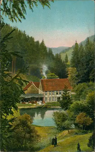 Ansichtskarte Hohegeiß-Braunlage Wolfbachmühle, Oberharz 1909