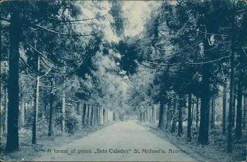 Postcard Sankt Michael Azoren São Miguel Sete Cidades 1922