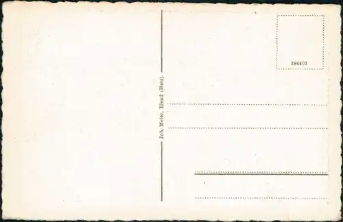 Ansichtskarte Elend (Harz) Oberharz Barenberg u. Wurmberg 1928