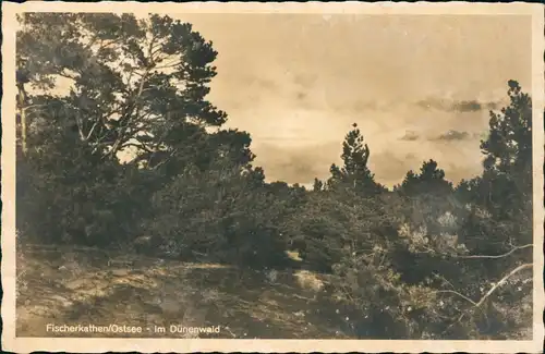 Postcard Fischerkathen Pogorzelica Ostsee Im Dünenwald - Pommern 1936