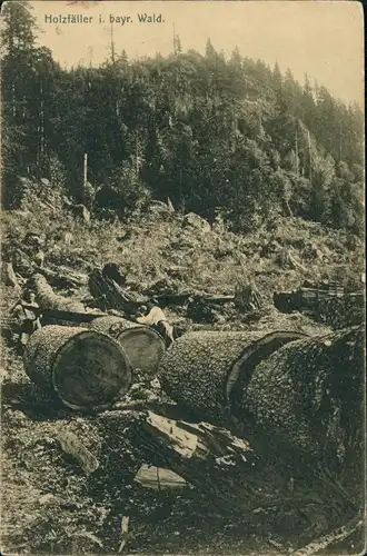 Ansichtskarte .Bayern Holzfäller Bayerischer Wald 1917