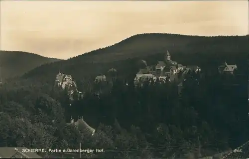 Ansichtskarte Schierke Panorama-Ansicht Partie am Barenberger Hof 1931