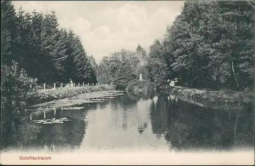 Postcard Stolp Słupsk Goldfischteich 1910