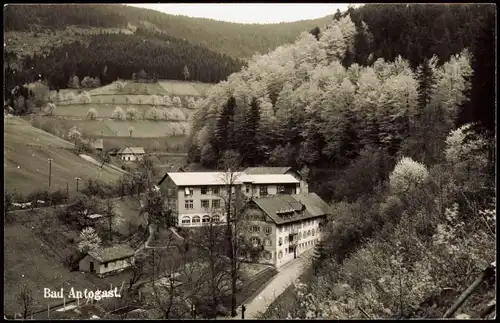 Ansichtskarte Bad Antogast Stadtpartie, Hotel 1962