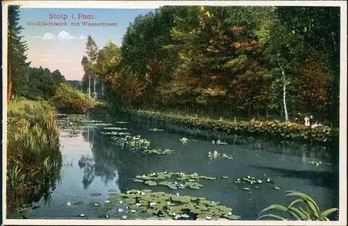 Postcard Stolp Słupsk Goldfischteich mit Wasserrosen 1925